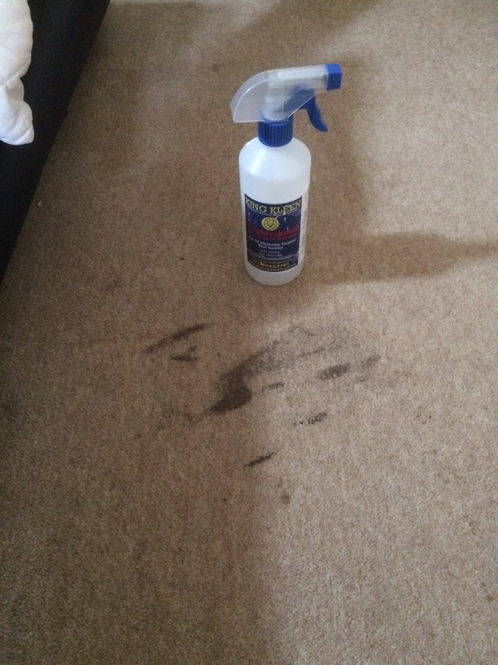 King Kleen Carpet Cleaner In Front Of Stain